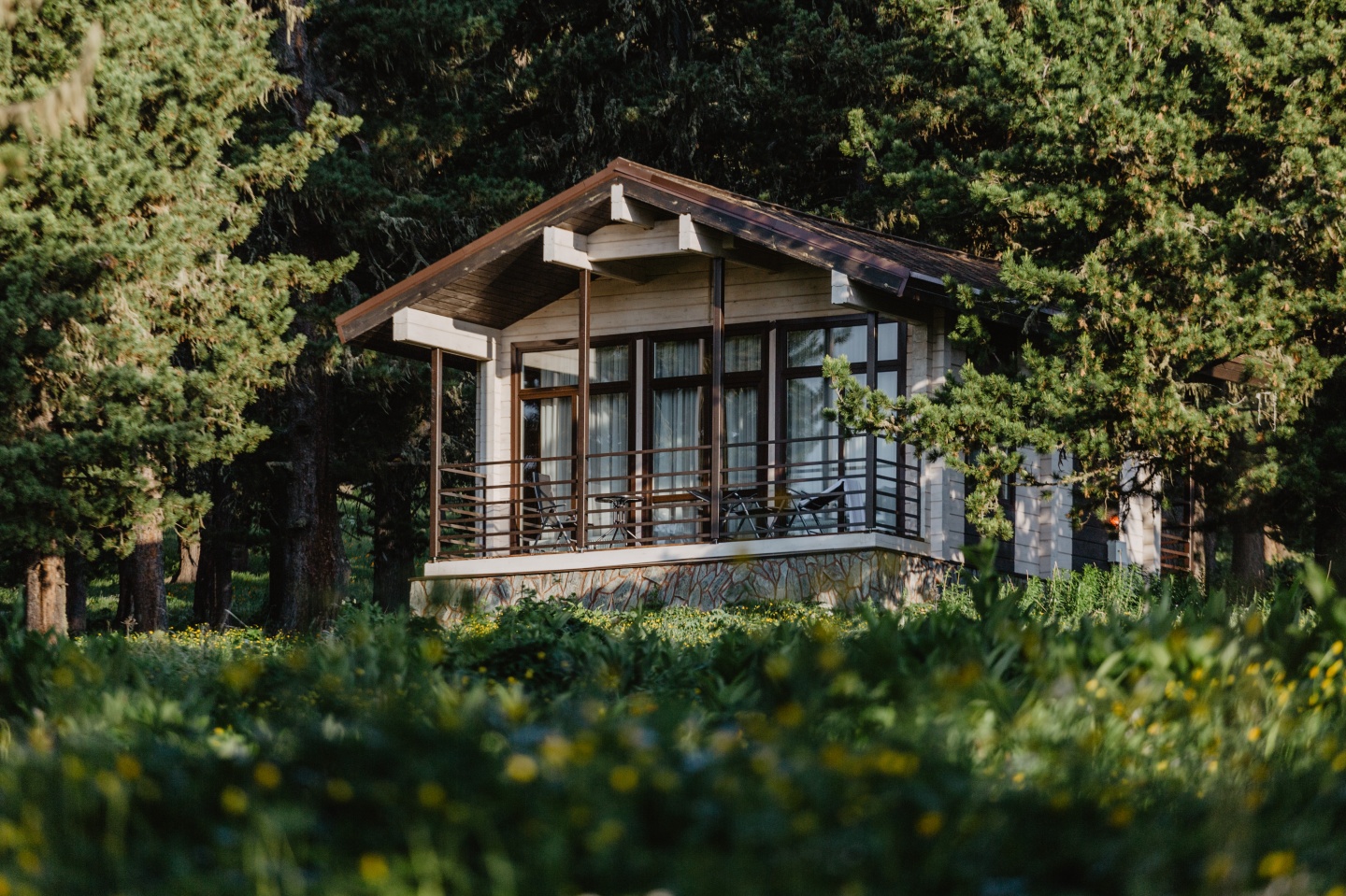 Priroda - фото 50