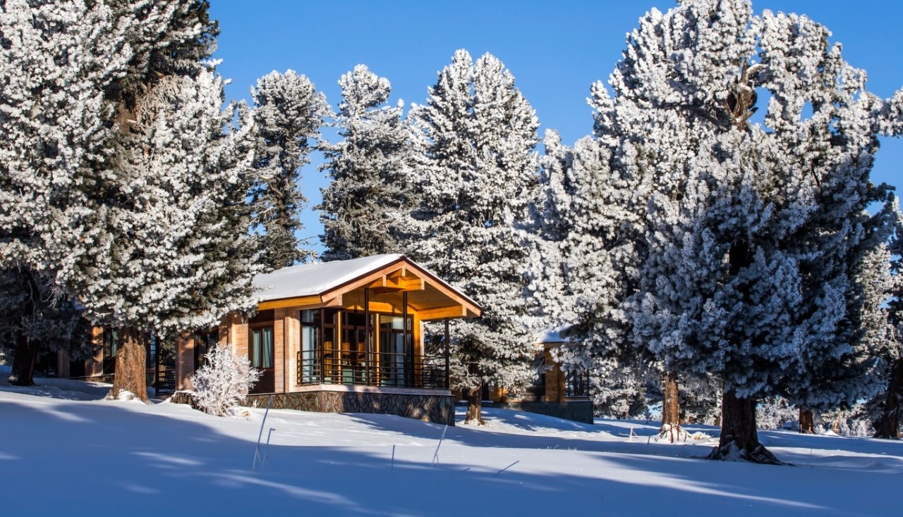 Priroda - фото 51