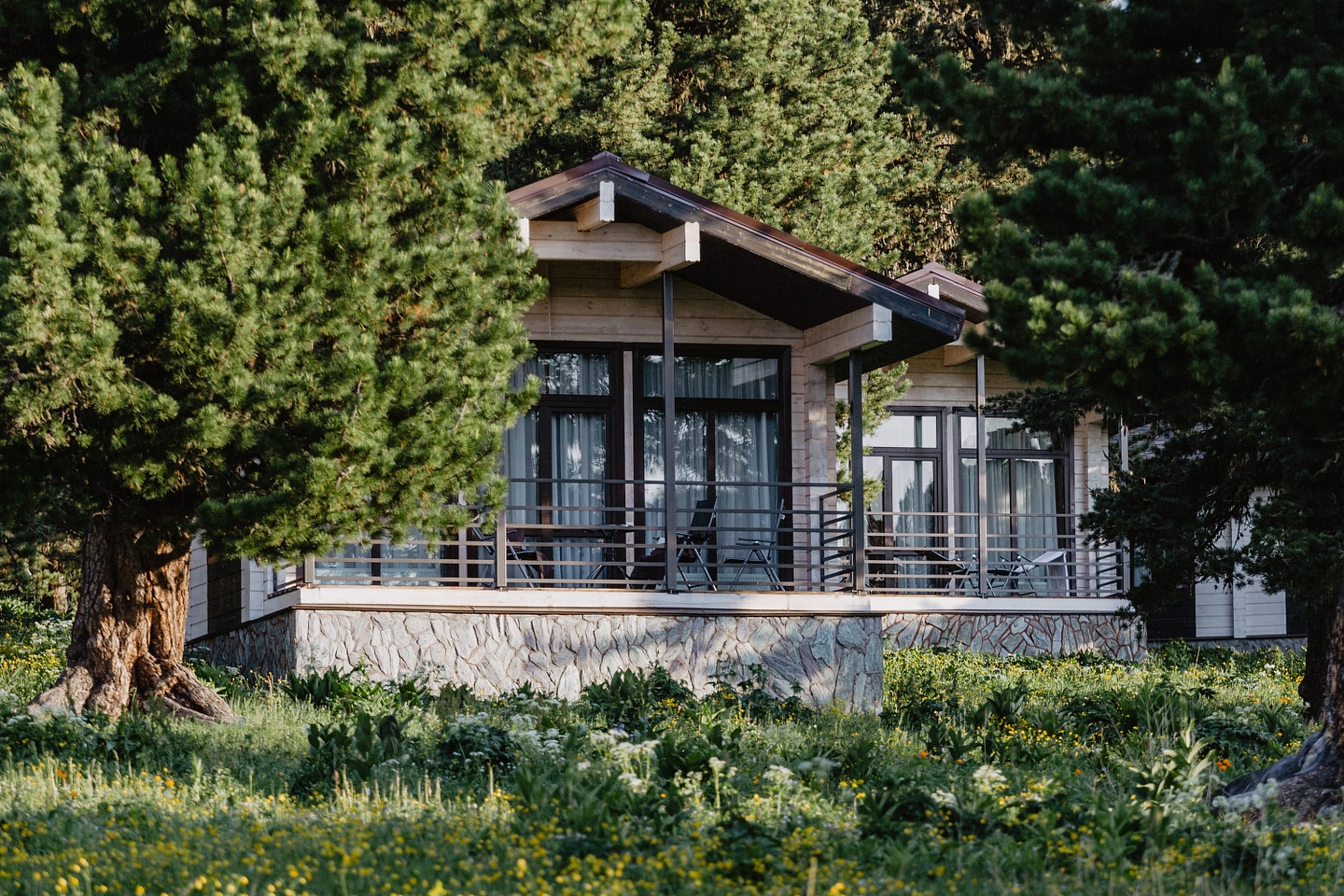 Priroda - фото 52