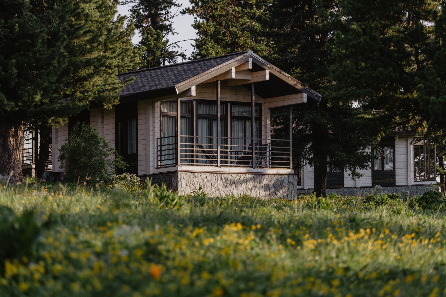 Priroda - фото 55