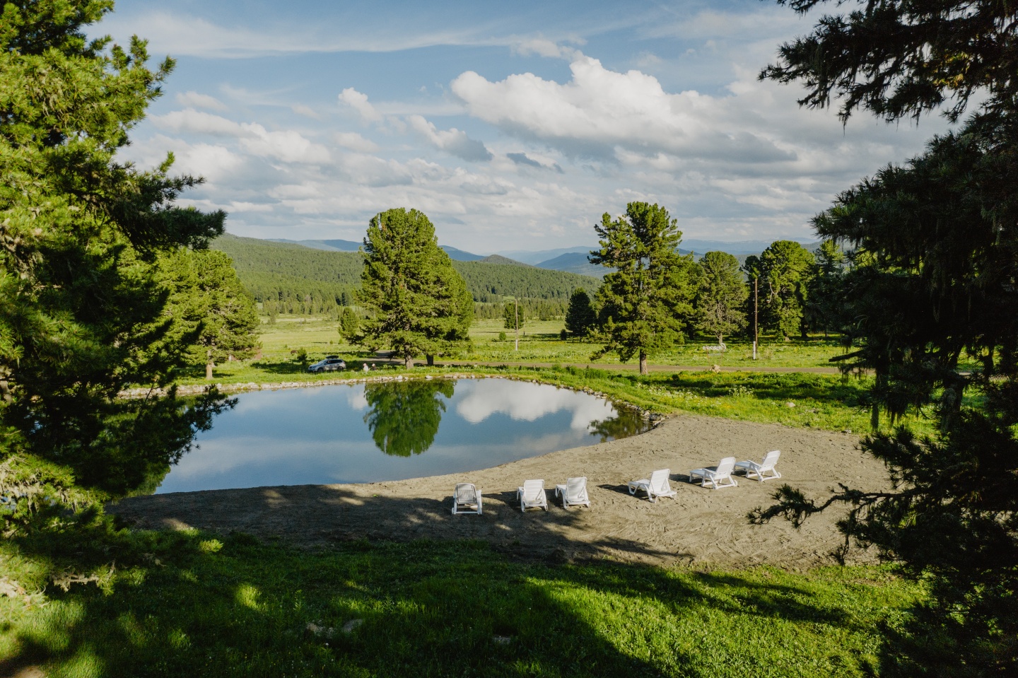 Priroda - фото 56