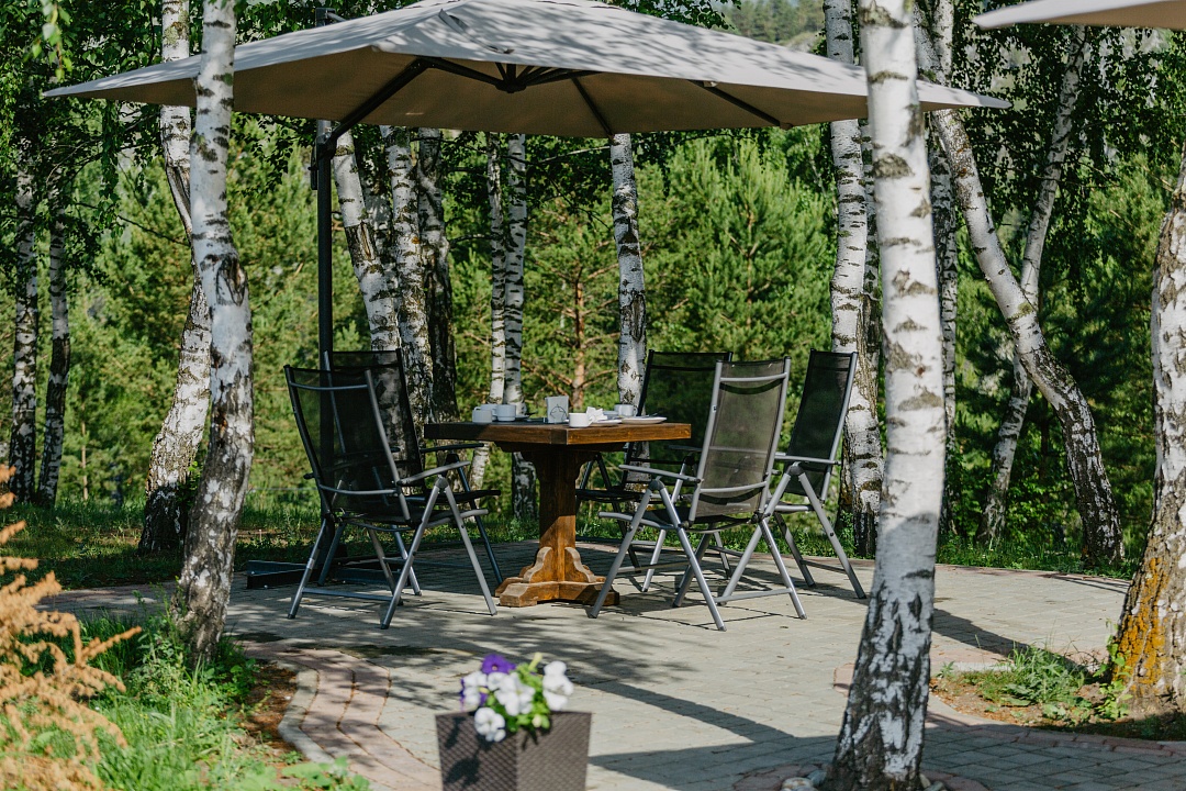 Priroda - фото 57