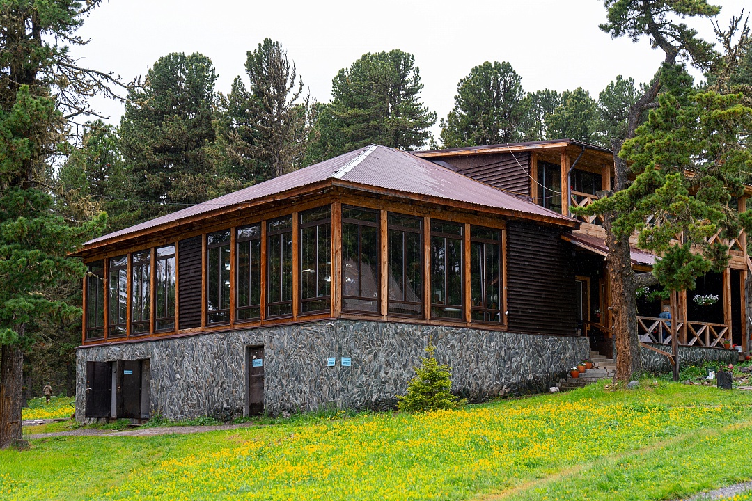 Priroda - фото 63