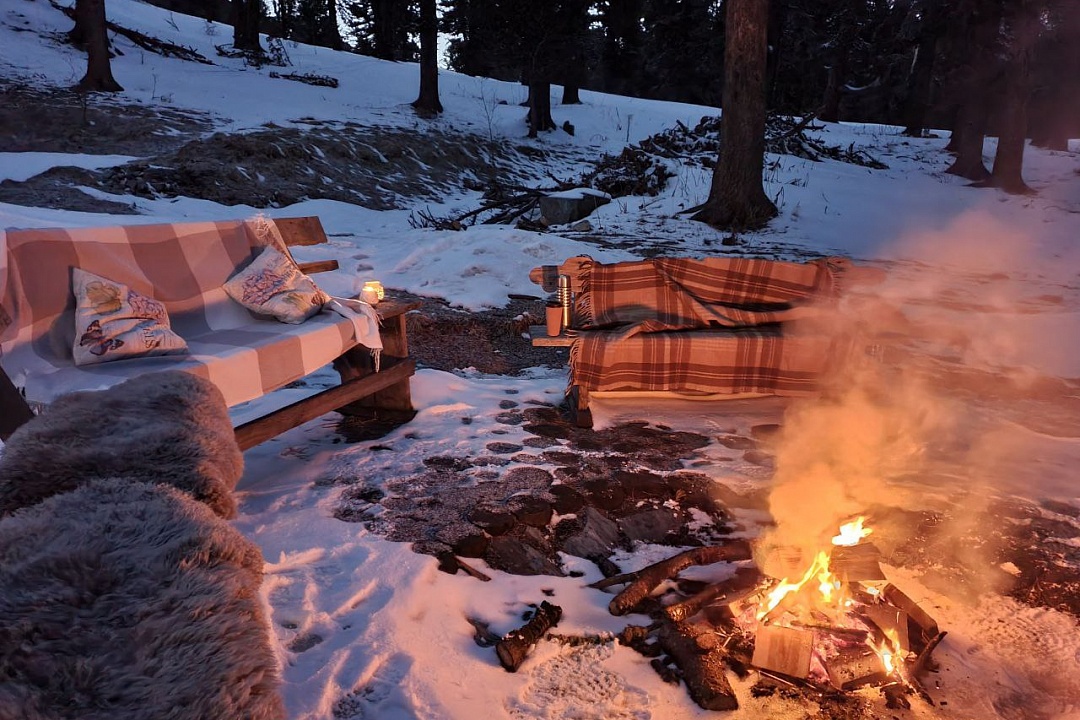 Priroda - фото 77