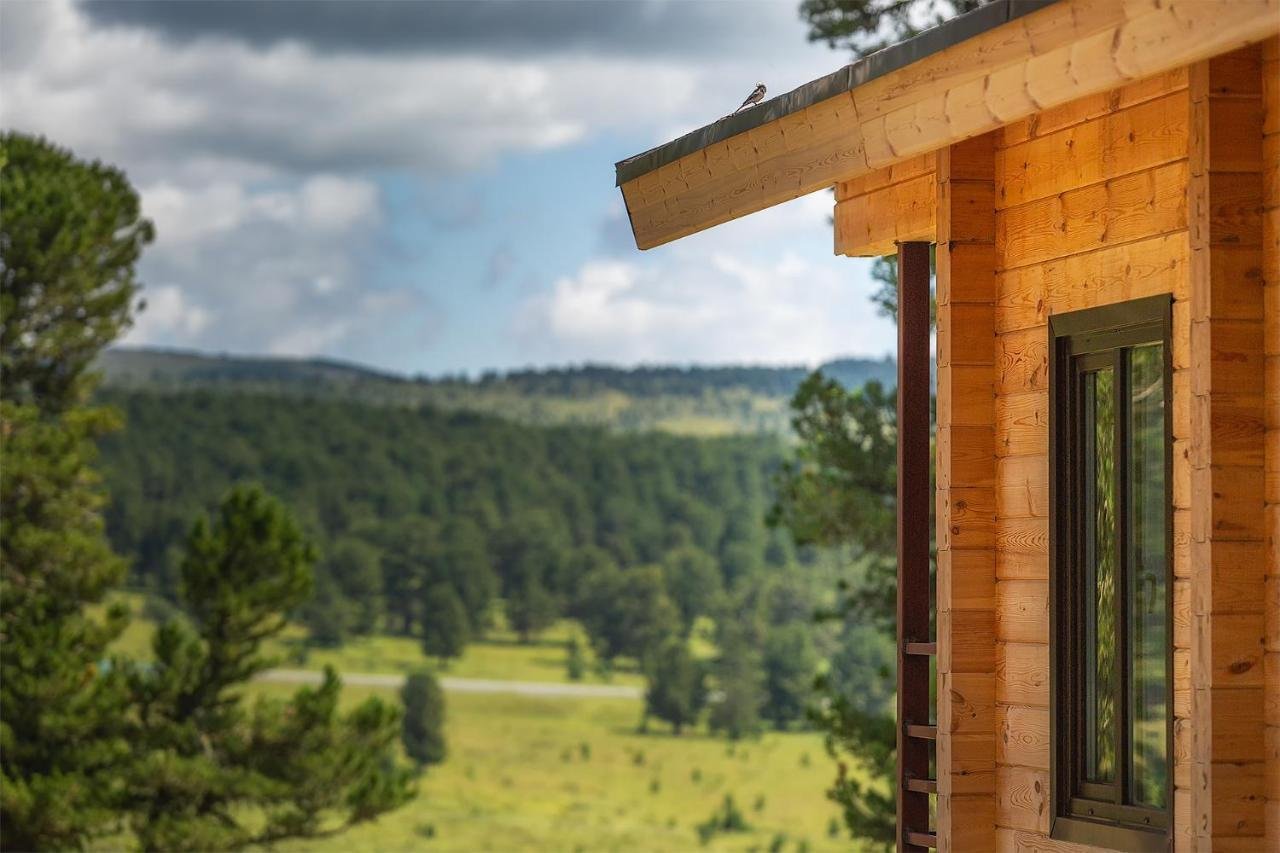 Priroda - фото 78