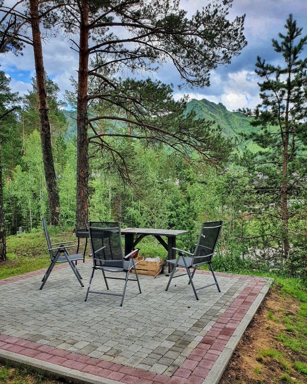 Priroda - фото 161