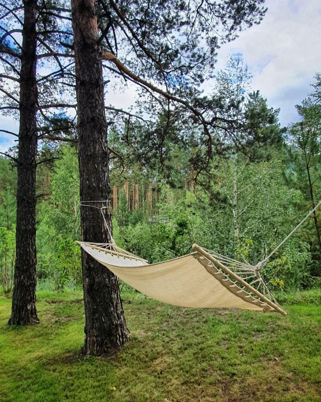 Priroda - фото 164