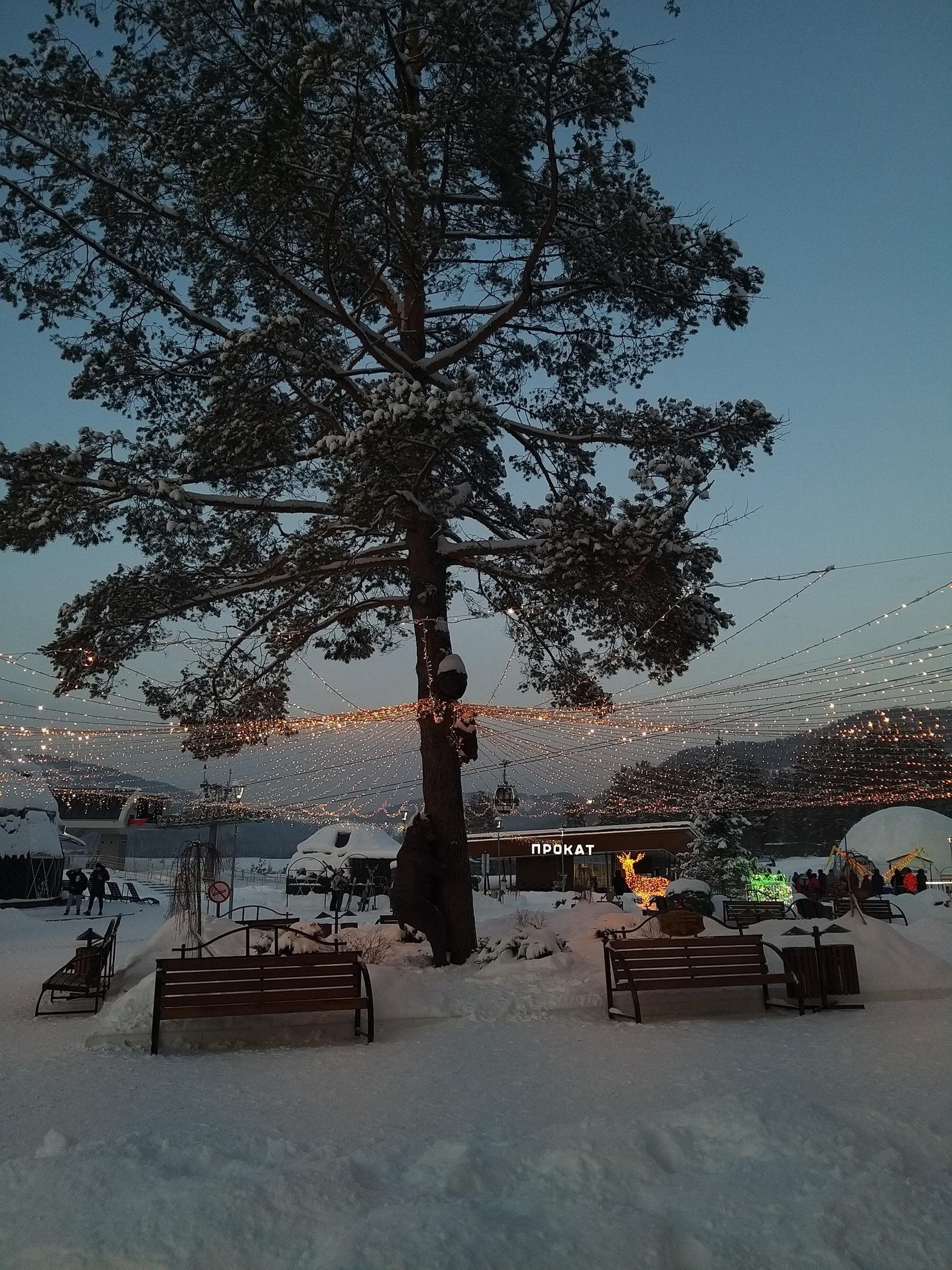 УДачный - фото 31