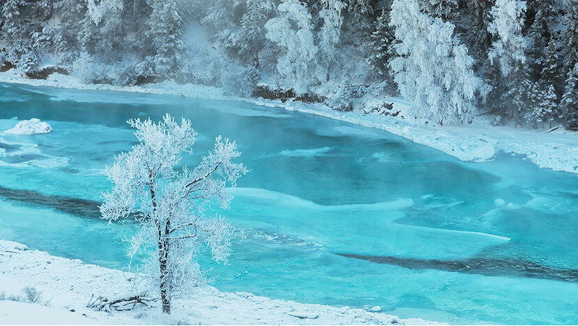 День 1. Знакомство с Алтаем