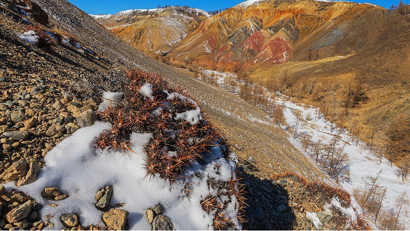 День 3. Джип-сафари на полюсе холода