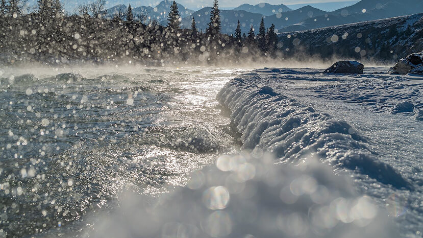 День 6. Домой!