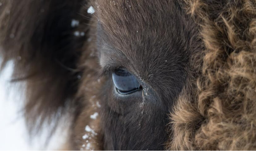День 8. Прощание с Алтаем - фото 9