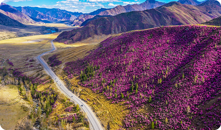 День 1. Первые шаги по алтайской земле - фото 1
