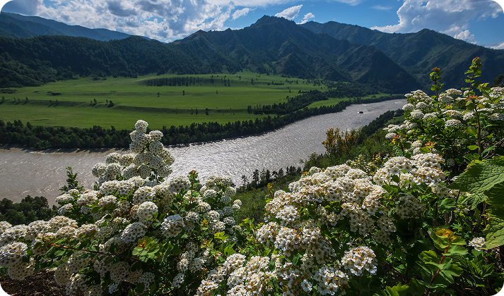 День 4. Прощание с Алтаем у берегов Катуни - фото 1