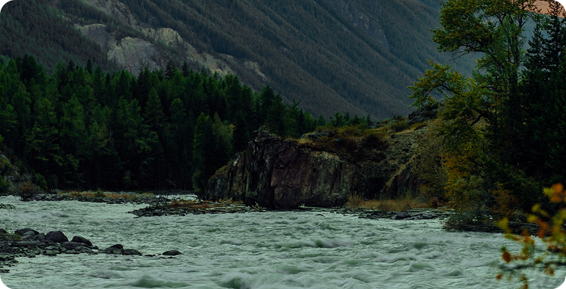 Алтай перезагрузка - фото 5