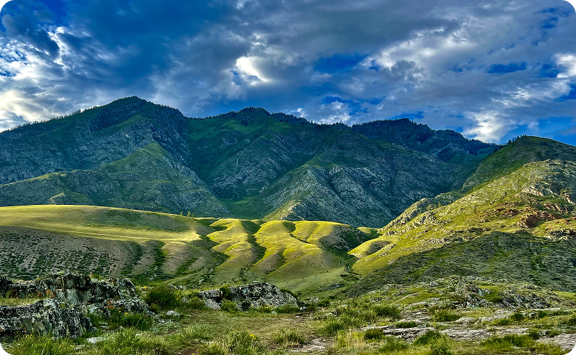 Когда Алтай расцветает