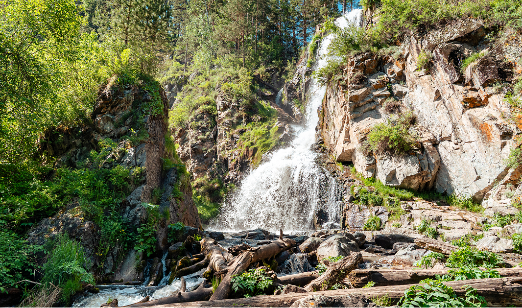 День 2. Экскурсия на Камышлинский водопад, зубрятник и Сырный мастер-класс - фото 2