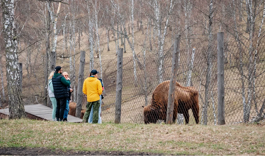 День 2. Экскурсия на Камышлинский водопад, зубрятник и Сырный мастер-класс - фото 3