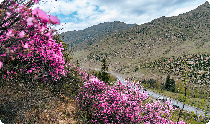 День 3. Легенды и были Чуйского тракта - фото 1