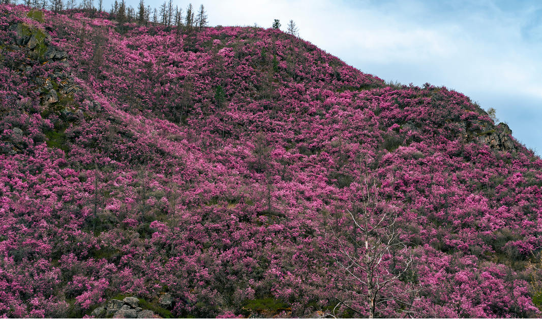 День 3. Легенды и были Чуйского тракта - фото 4