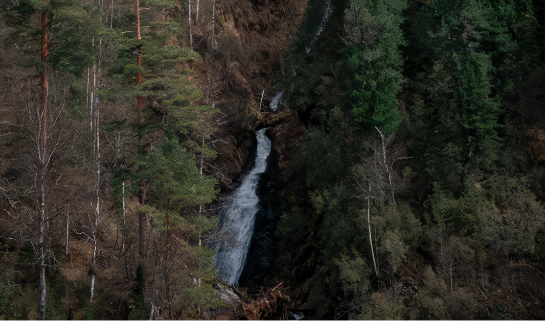 День 6. Чудеса Телецкого озера - фото 3