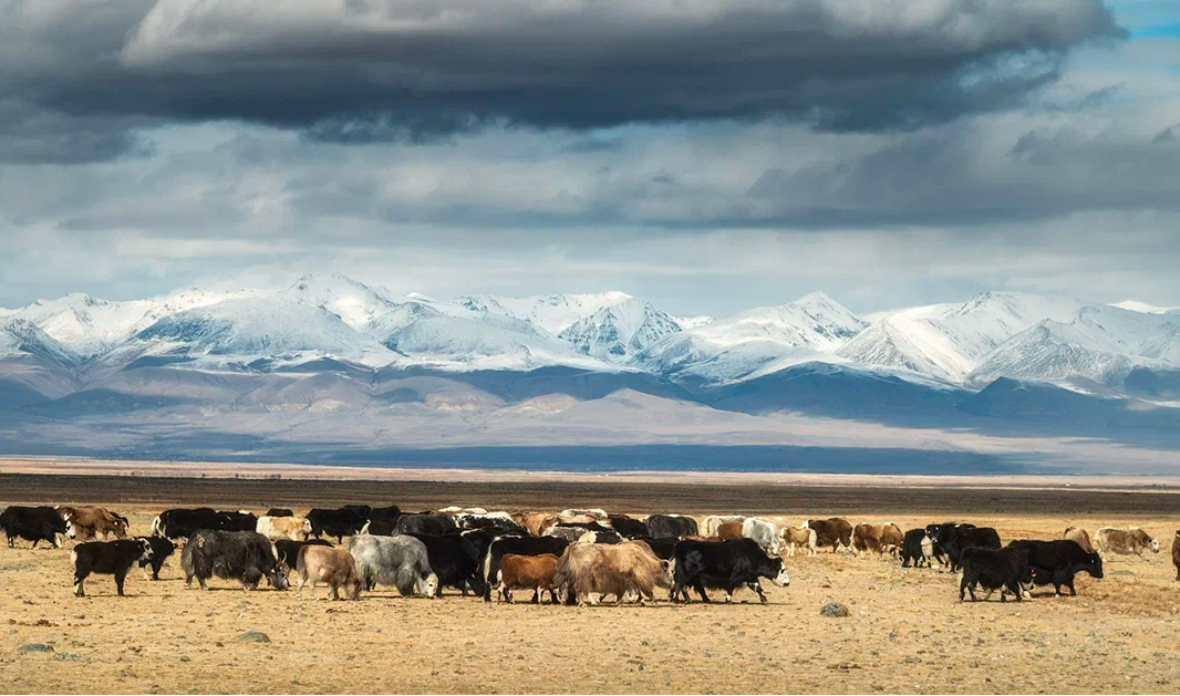 День 3. Язык Богов - фото 2