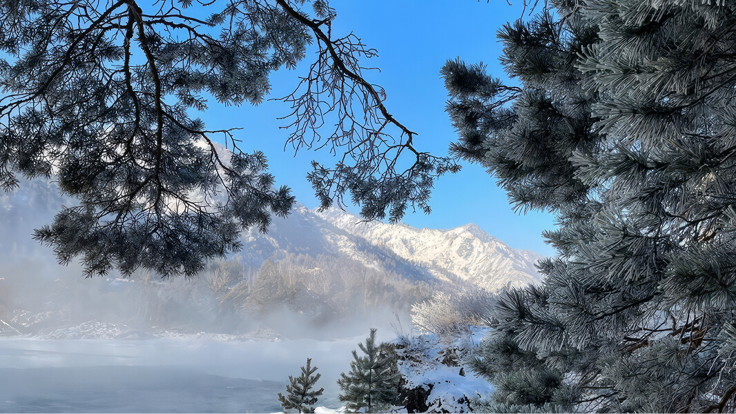 Алтай: Зимнее путешествие мечты - фото 2
