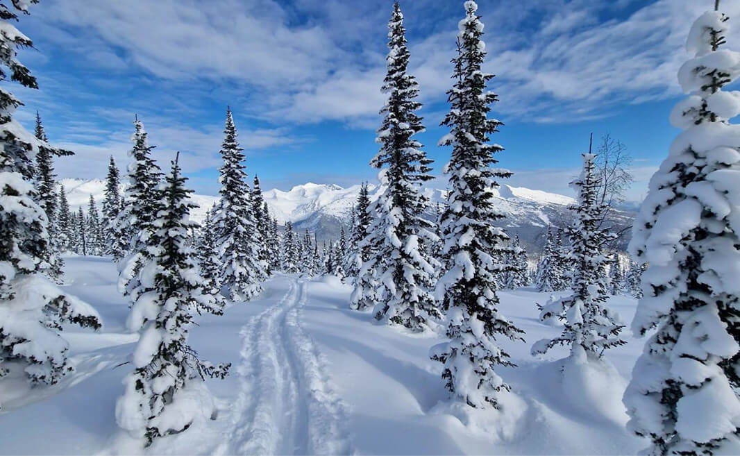 Алтай: Зимнее путешествие мечты - фото 1
